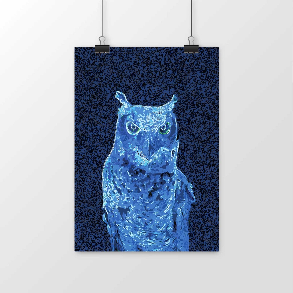 Owl Poster